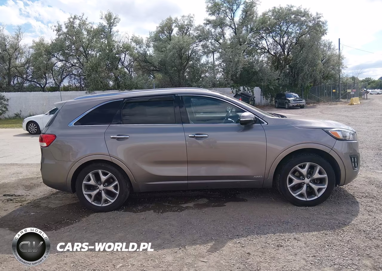 2016 Kia Sorento 2.0T Sxl VIN:5XYPKDA16GG005828 - 13