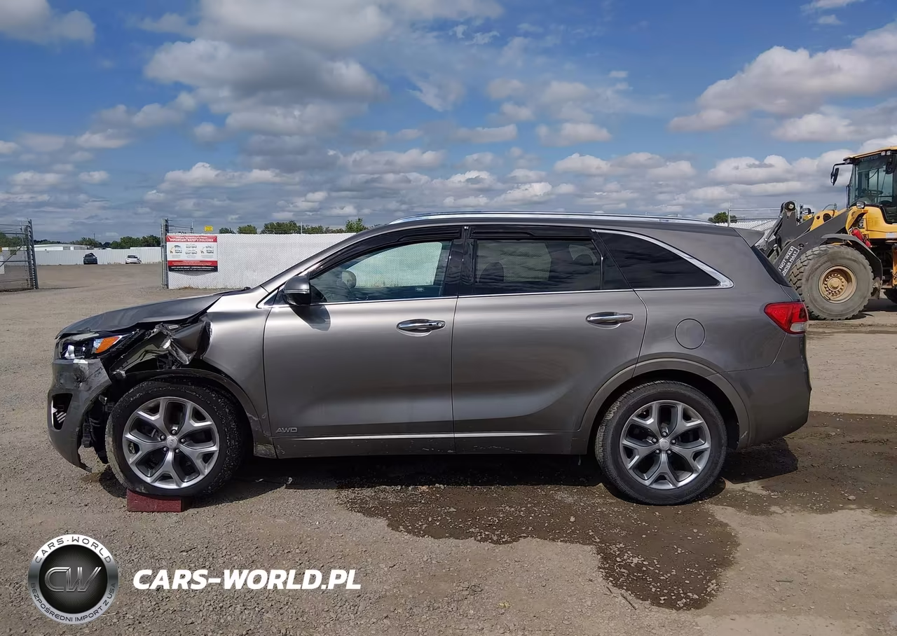 2016 Kia Sorento 2.0T Sxl VIN:5XYPKDA16GG005828 - 14
