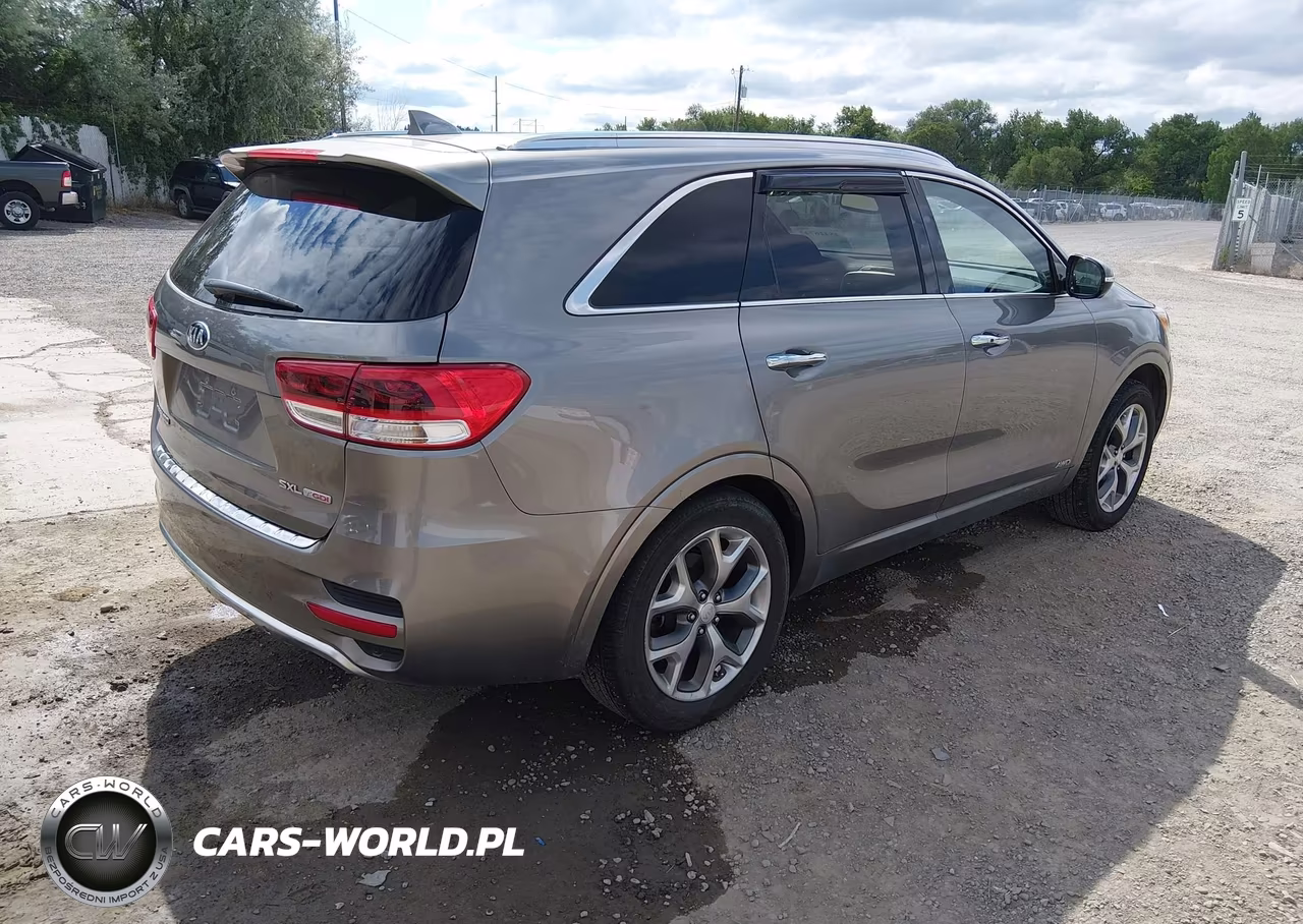 2016 Kia Sorento 2.0T Sxl VIN:5XYPKDA16GG005828 - 4