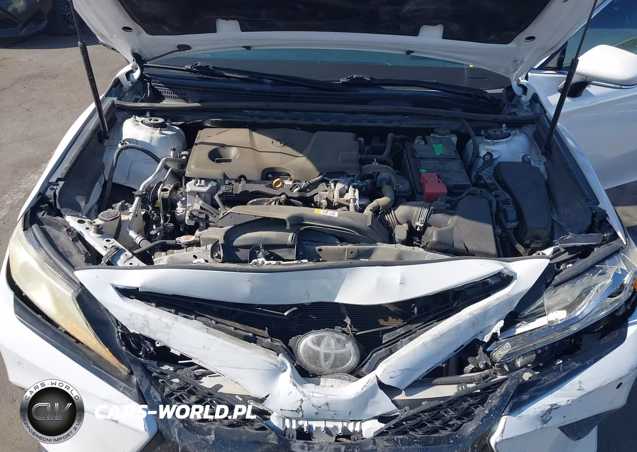 2018 Toyota Camry Xse VIN:4T1B61HK5JU096670 - 10
