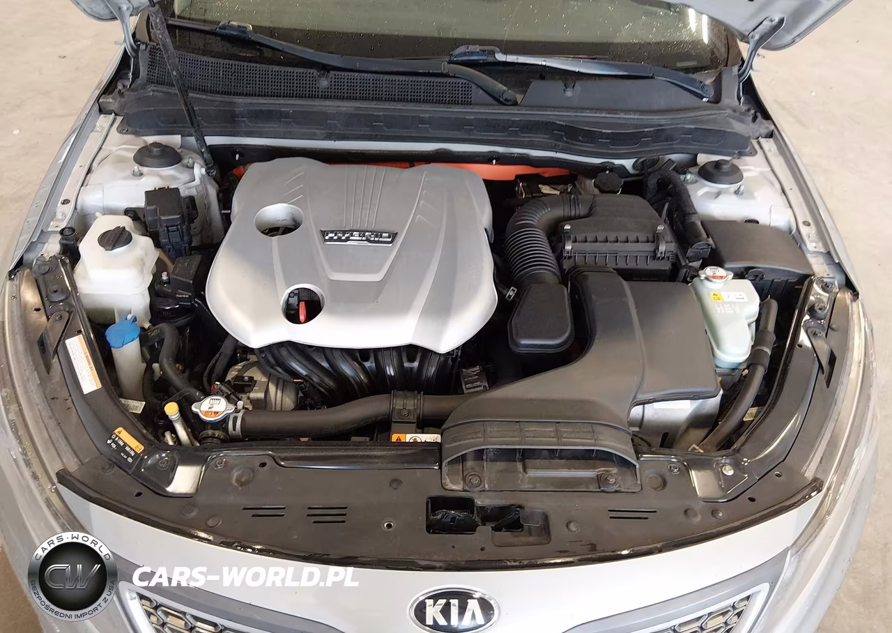 2016 Kia Optima Hybrid VIN:KNAGM4AD9G5099245 - 10