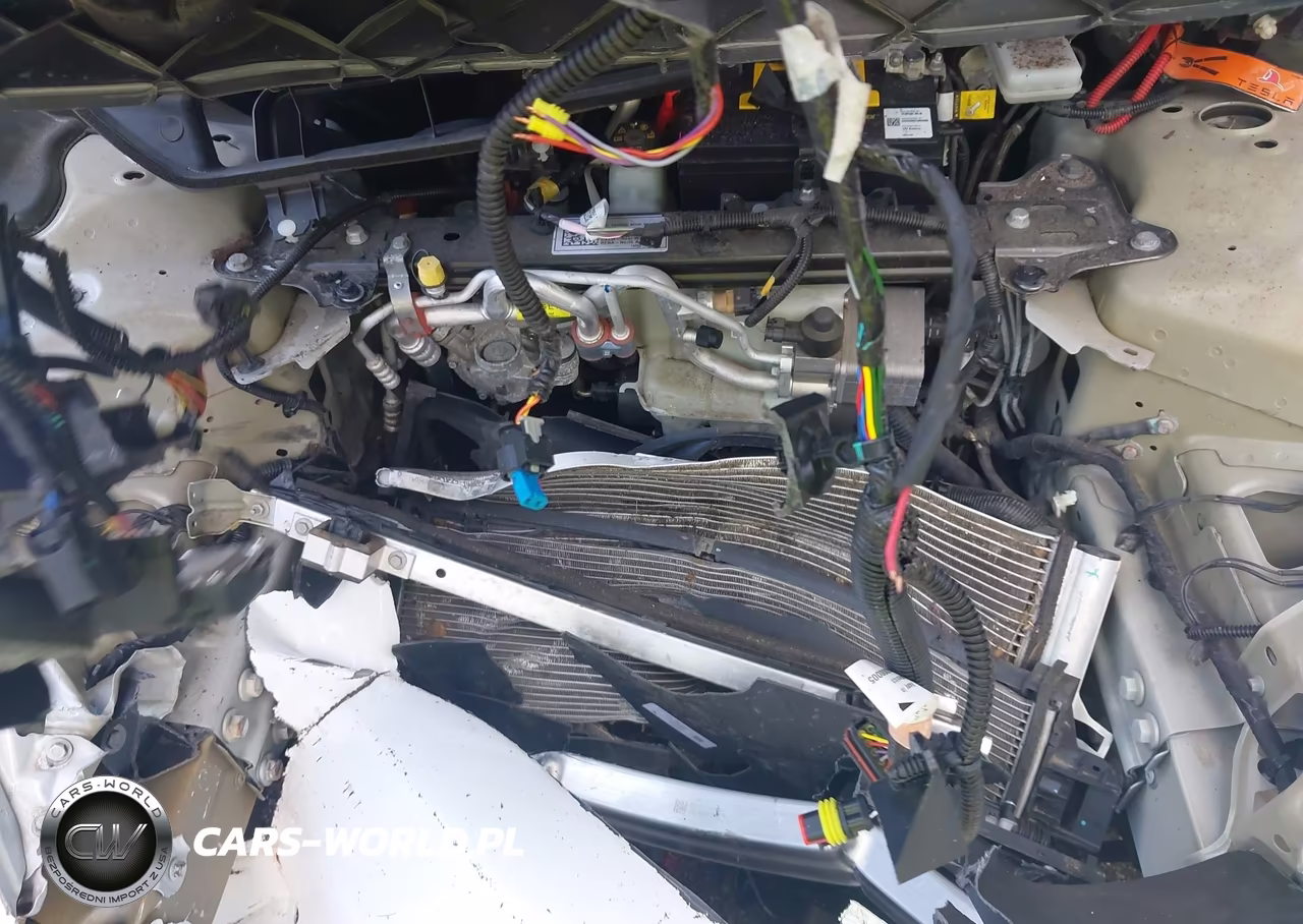 2019 Tesla Model 3 Long Range-Mid Range-Standard Range-Standard Range Plus VIN:5YJ3E1EA0KF445073 - 10