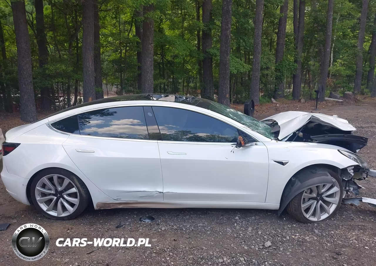 2019 Tesla Model 3 Long Range-Mid Range-Standard Range-Standard Range Plus VIN:5YJ3E1EA0KF445073 - 12