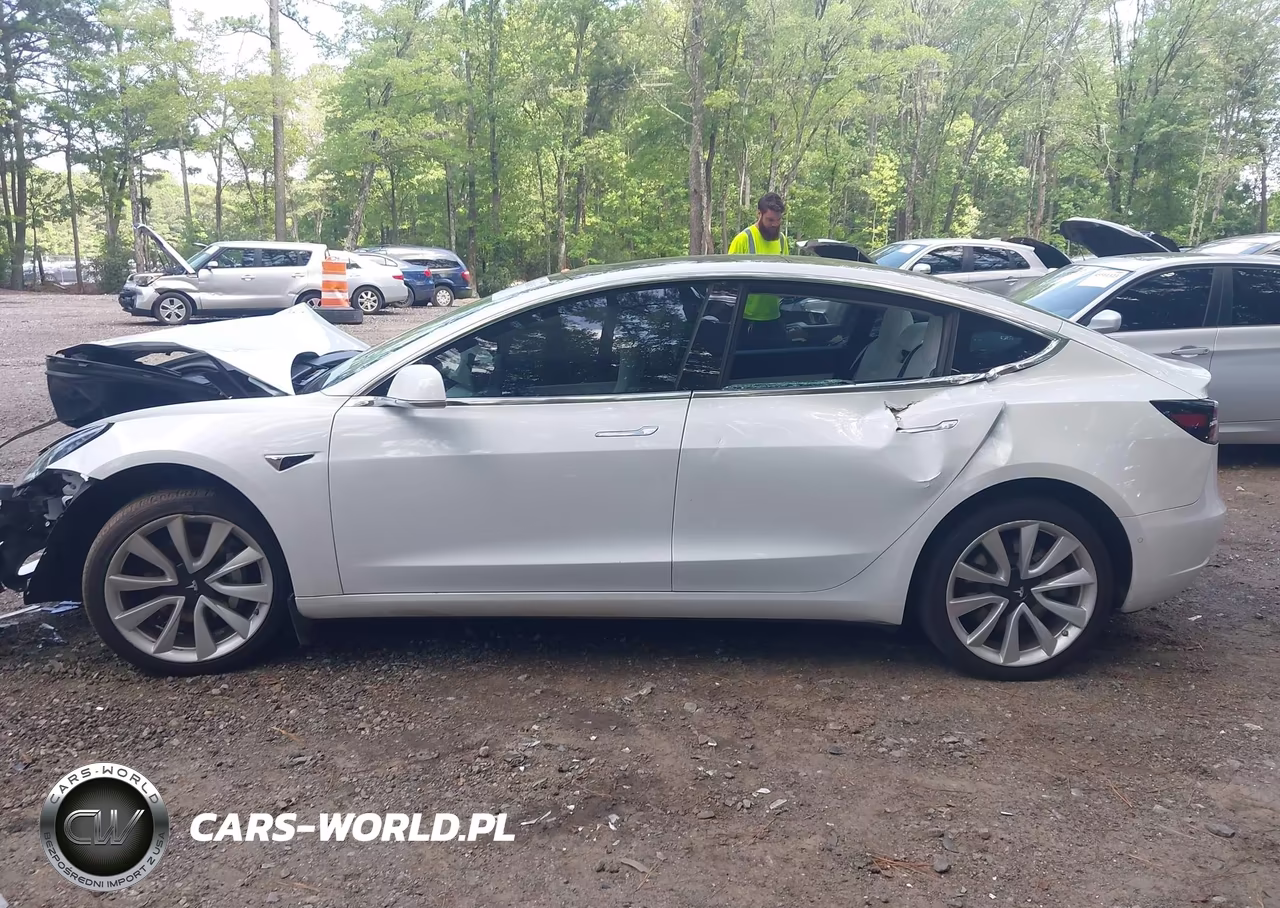 2019 Tesla Model 3 Long Range-Mid Range-Standard Range-Standard Range Plus VIN:5YJ3E1EA0KF445073 - 13