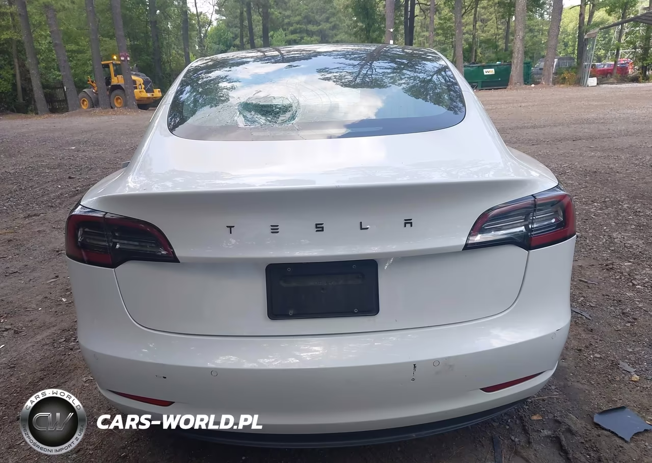2019 Tesla Model 3 Long Range-Mid Range-Standard Range-Standard Range Plus VIN:5YJ3E1EA0KF445073 - 15