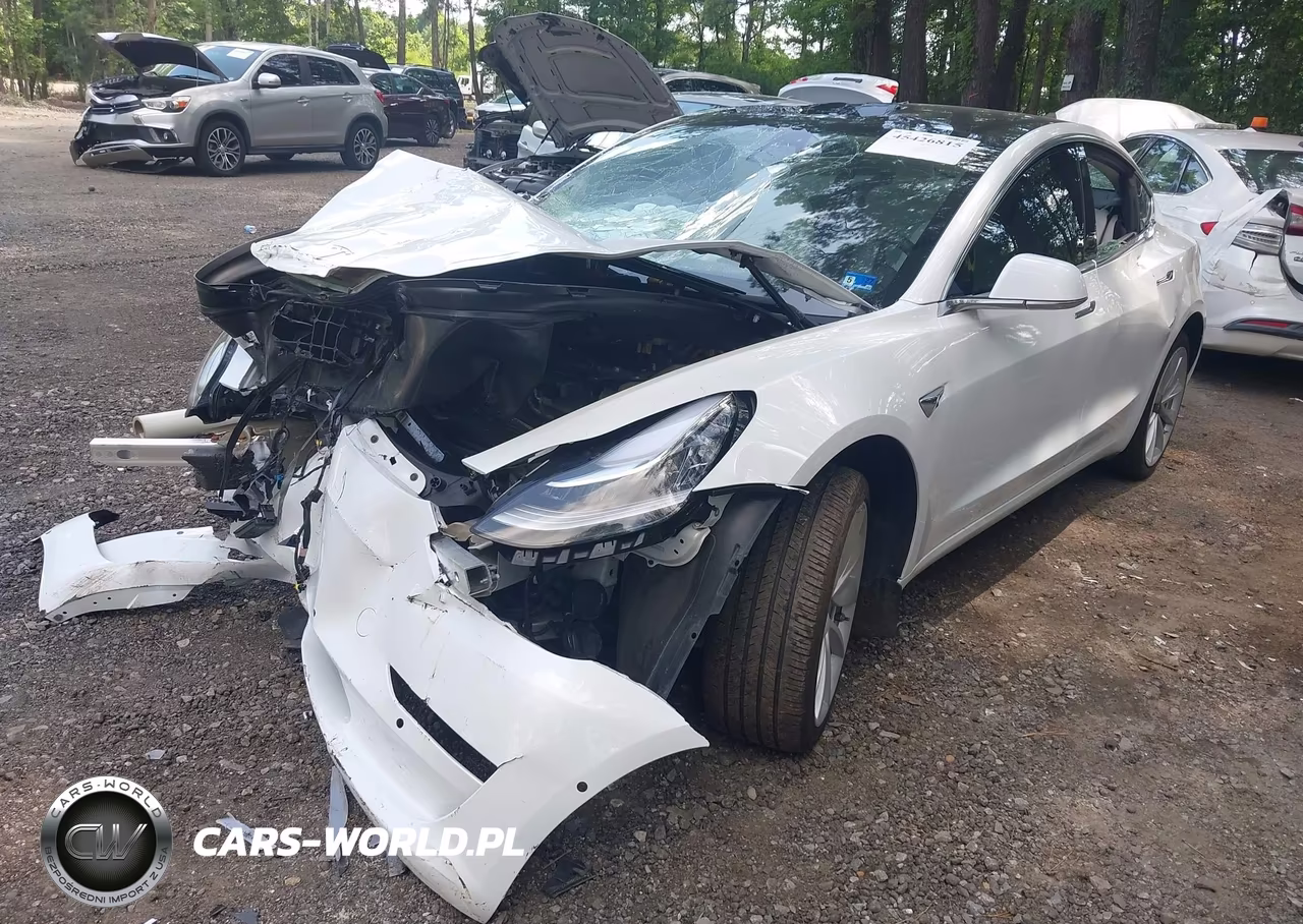 2019 Tesla Model 3 Long Range-Mid Range-Standard Range-Standard Range Plus VIN:5YJ3E1EA0KF445073 - 2