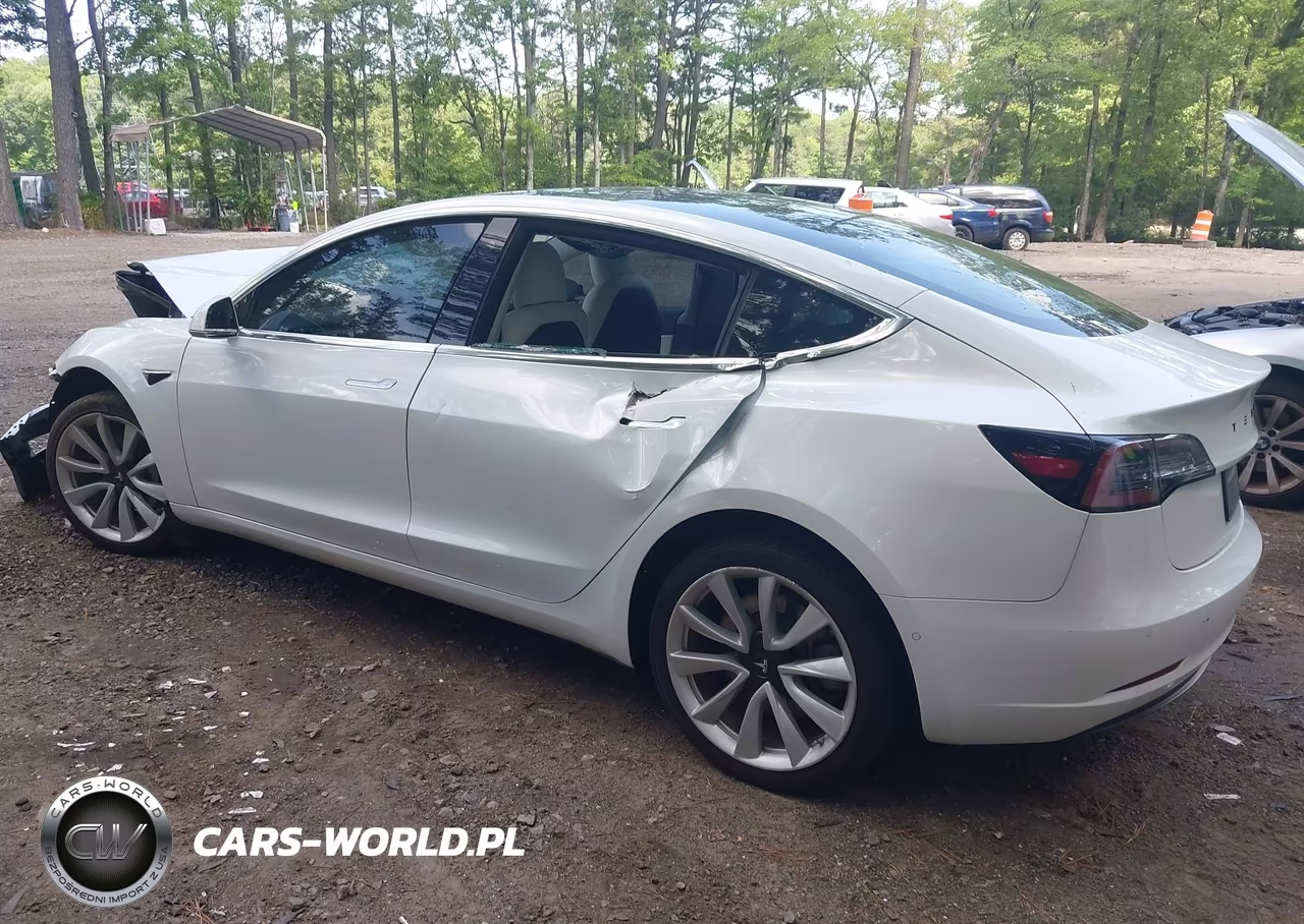 2019 Tesla Model 3 Long Range-Mid Range-Standard Range-Standard Range Plus VIN:5YJ3E1EA0KF445073 - 3
