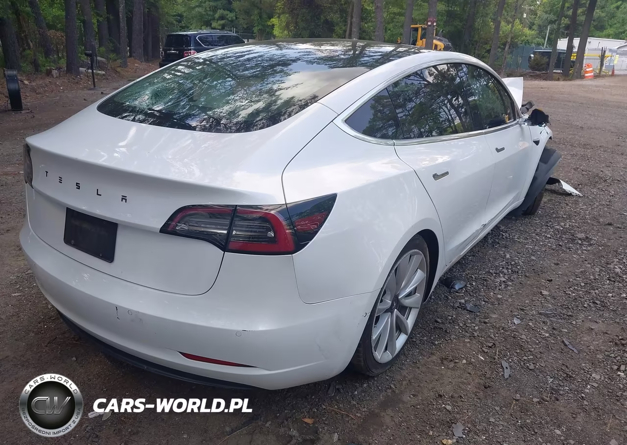 2019 Tesla Model 3 Long Range-Mid Range-Standard Range-Standard Range Plus VIN:5YJ3E1EA0KF445073 - 4