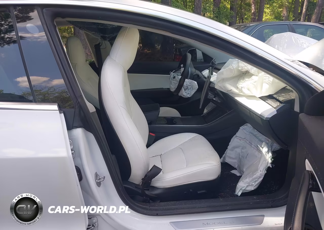 2019 Tesla Model 3 Long Range-Mid Range-Standard Range-Standard Range Plus VIN:5YJ3E1EA0KF445073 - 5