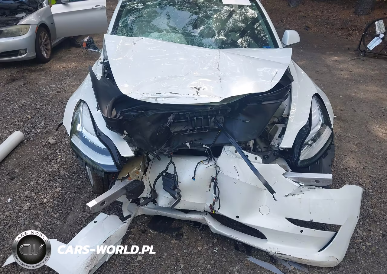 2019 Tesla Model 3 Long Range-Mid Range-Standard Range-Standard Range Plus VIN:5YJ3E1EA0KF445073 - 6