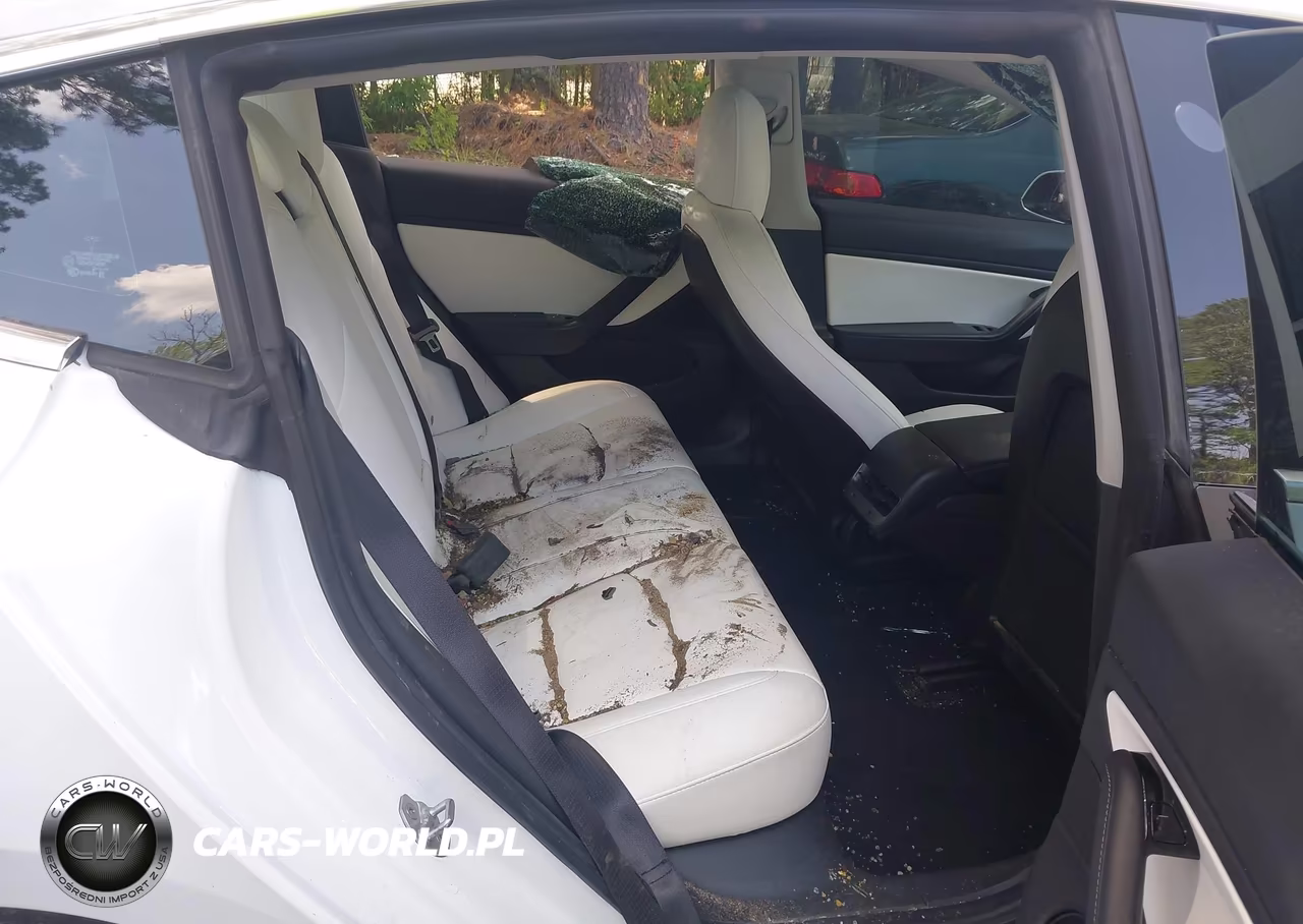 2019 Tesla Model 3 Long Range-Mid Range-Standard Range-Standard Range Plus VIN:5YJ3E1EA0KF445073 - 8