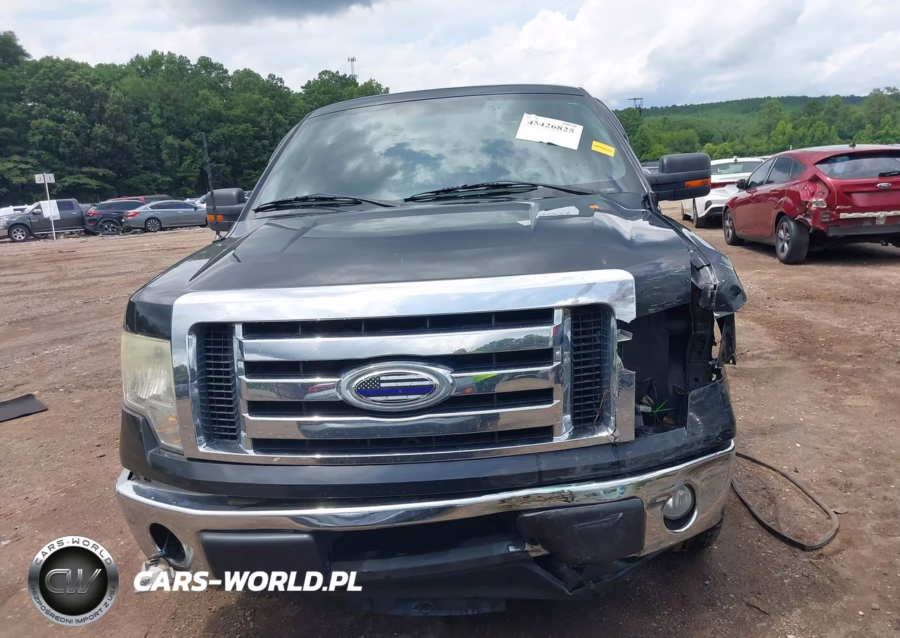 2010 Ford F-150 Xlt VIN:1FTEX1C83AFA69742 - 12