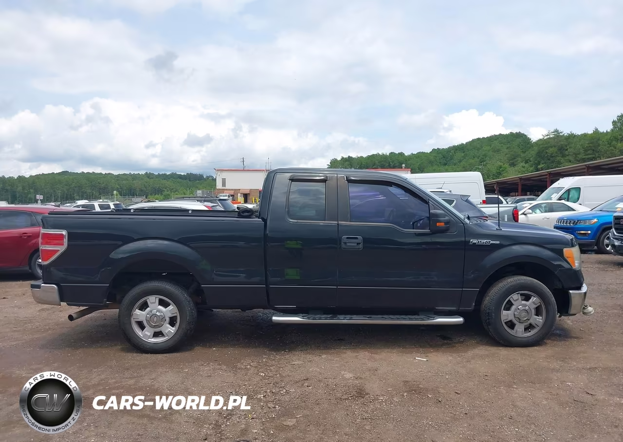 2010 Ford F-150 Xlt VIN:1FTEX1C83AFA69742 - 13