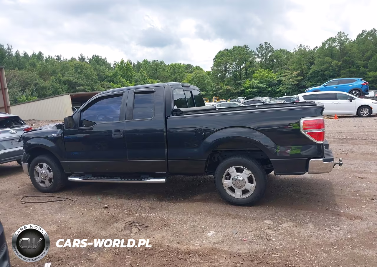 2010 Ford F-150 Xlt VIN:1FTEX1C83AFA69742 - 14
