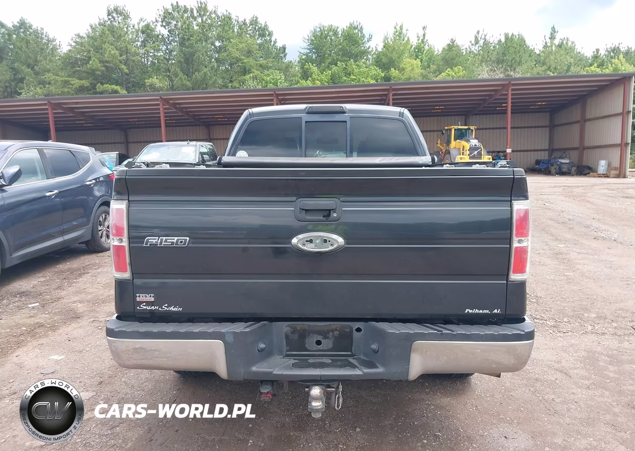 2010 Ford F-150 Xlt VIN:1FTEX1C83AFA69742 - 16