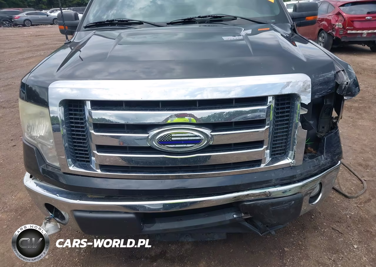 2010 Ford F-150 Xlt VIN:1FTEX1C83AFA69742 - 17