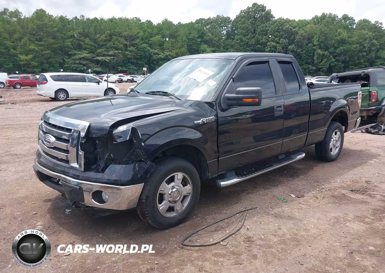 2010 Ford F-150 Xlt VIN:1FTEX1C83AFA69742 - 2