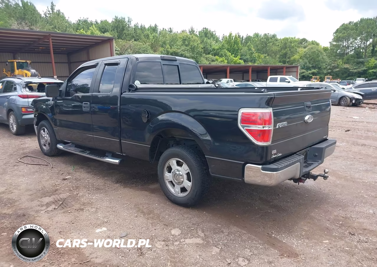 2010 Ford F-150 Xlt VIN:1FTEX1C83AFA69742 - 3
