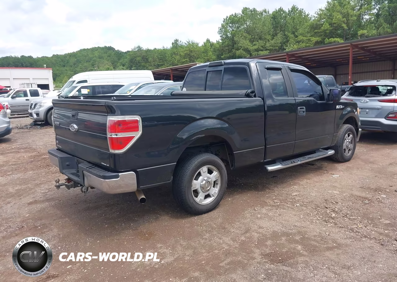 2010 Ford F-150 Xlt VIN:1FTEX1C83AFA69742 - 4
