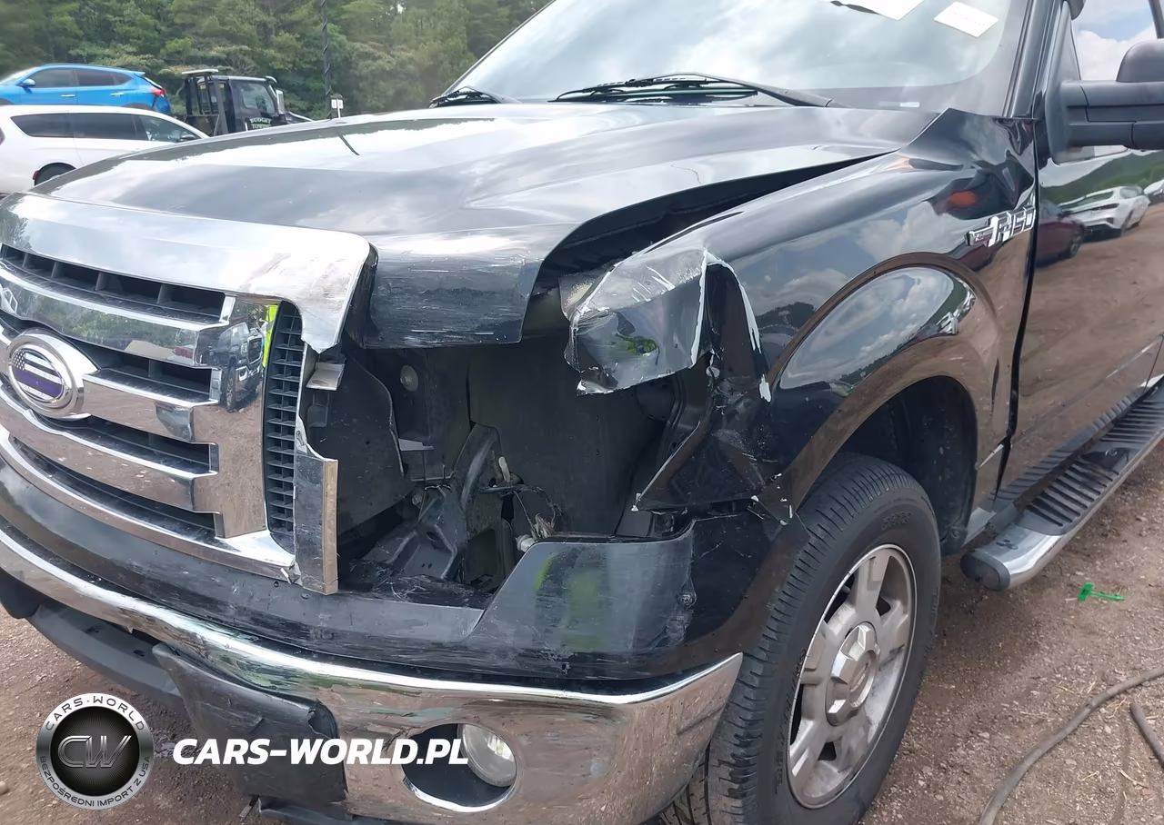 2010 Ford F-150 Xlt VIN:1FTEX1C83AFA69742 - 6