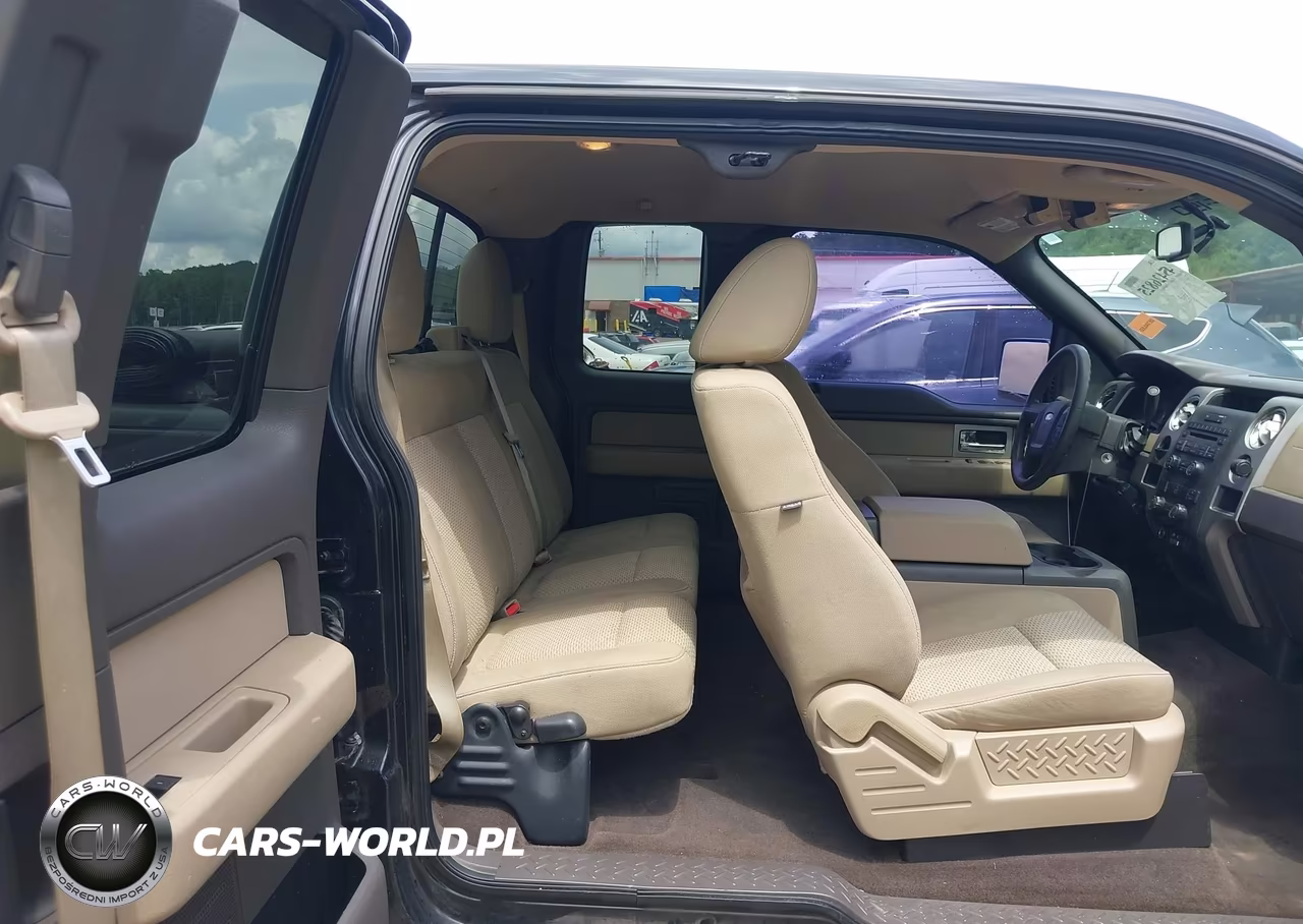 2010 Ford F-150 Xlt VIN:1FTEX1C83AFA69742 - 8