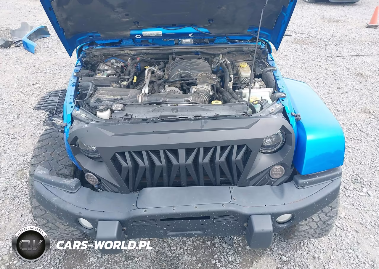 2016 Jeep Wrangler Unlimited Backcountry VIN:1C4BJWEG5GL221066 - 10