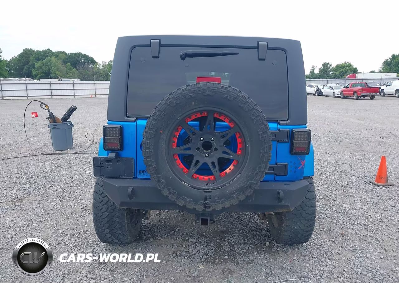 2016 Jeep Wrangler Unlimited Backcountry VIN:1C4BJWEG5GL221066 - 17