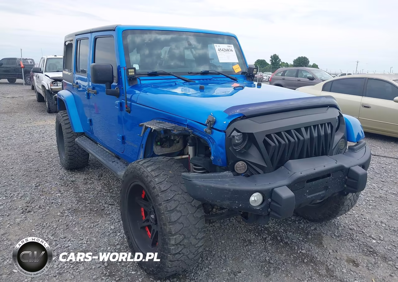 2016 Jeep Wrangler Unlimited Backcountry VIN:1C4BJWEG5GL221066 - 20