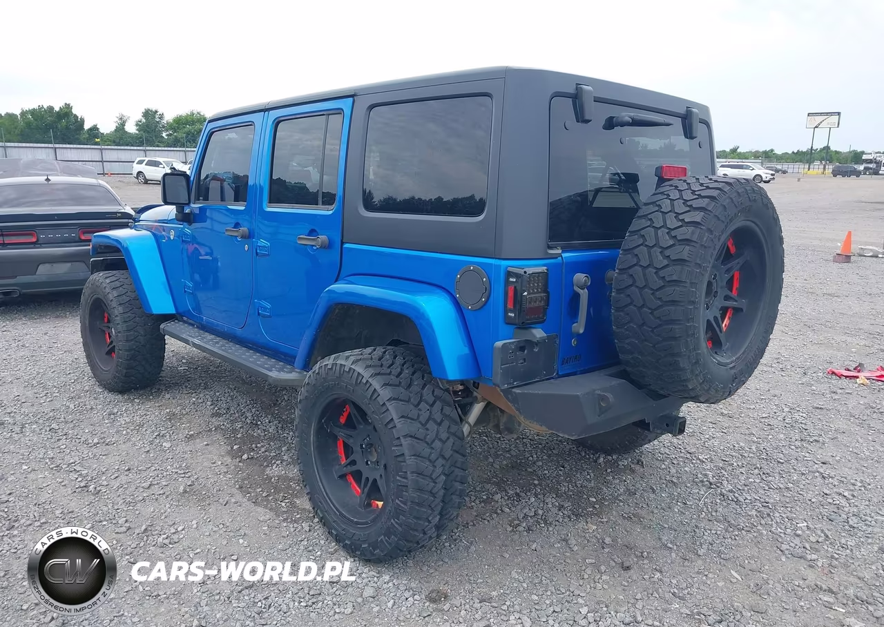 2016 Jeep Wrangler Unlimited Backcountry VIN:1C4BJWEG5GL221066 - 3
