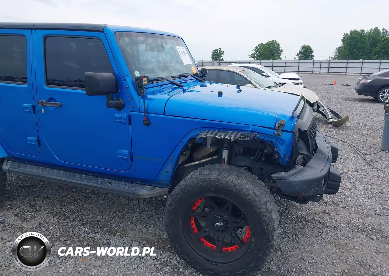 2016 Jeep Wrangler Unlimited Backcountry VIN:1C4BJWEG5GL221066 - 6