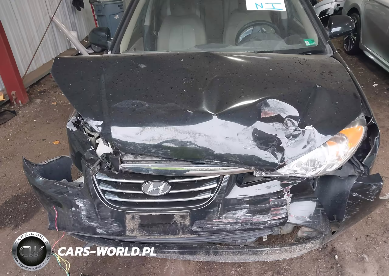 2010 Hyundai Elantra Gls VIN:KMHDU4AD1AU110737 - 10