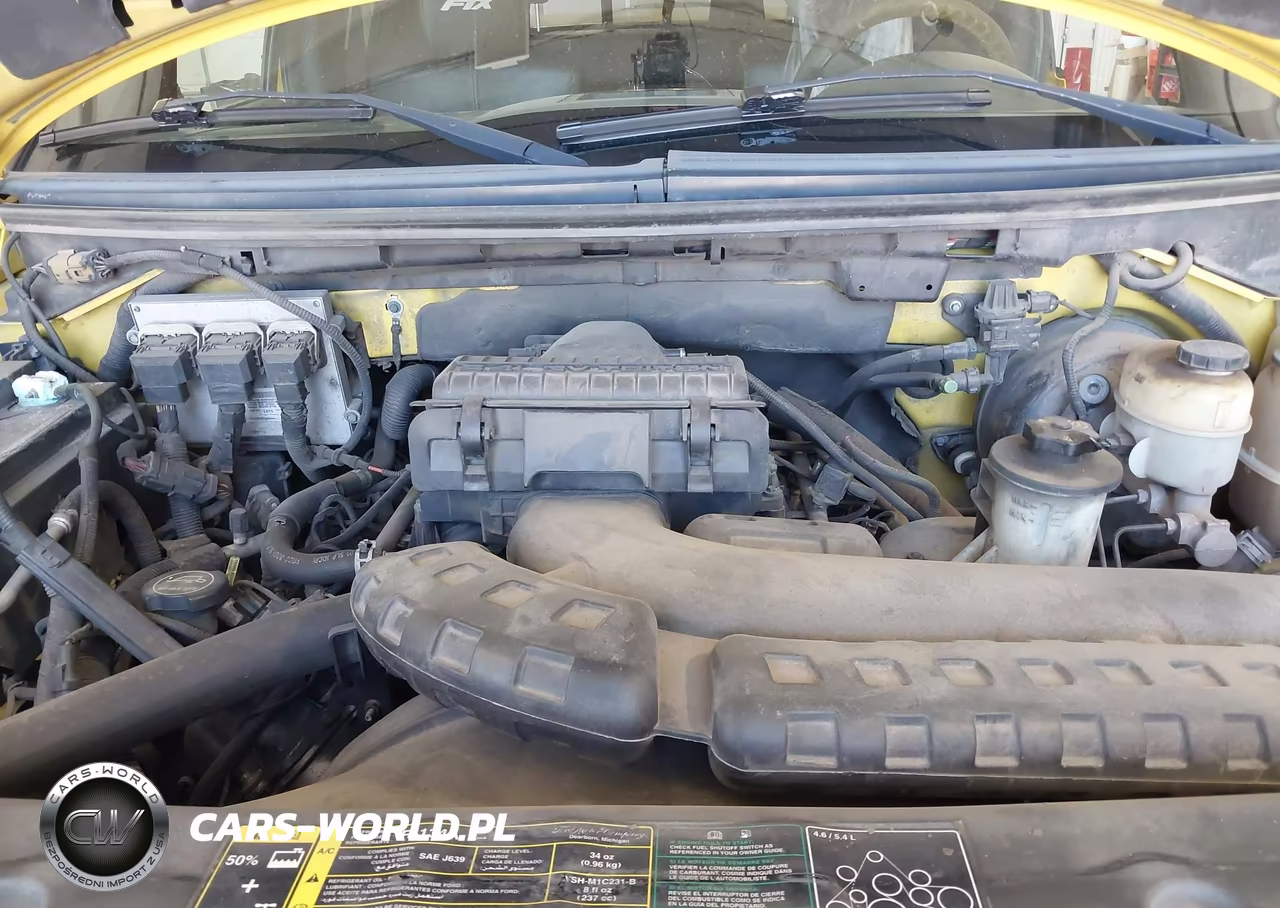 2004 Ford F-150 Fx4-Lariat-Xlt VIN:1FTPW145X4KD03211 - 10