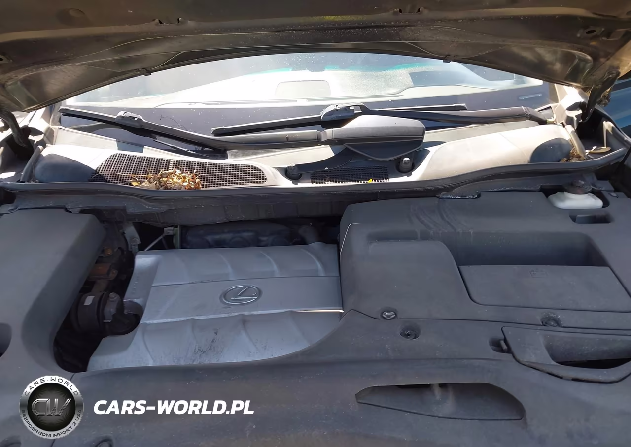 2010 Lexus Rx 350 VIN:2T2BK1BA2AC032773 - 10