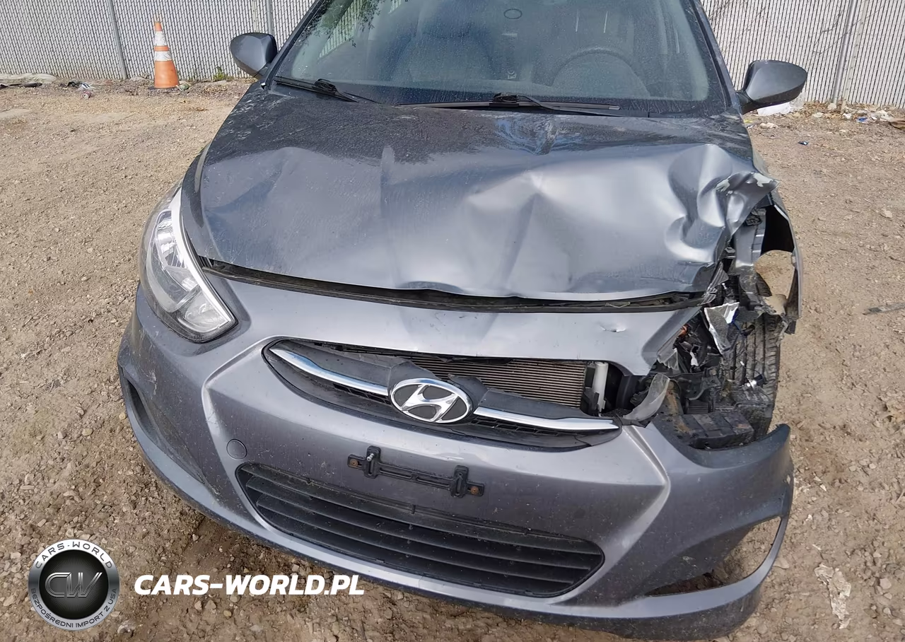 2017 Hyundai Accent Se VIN:KMHCT4AE2HU269686 - 12