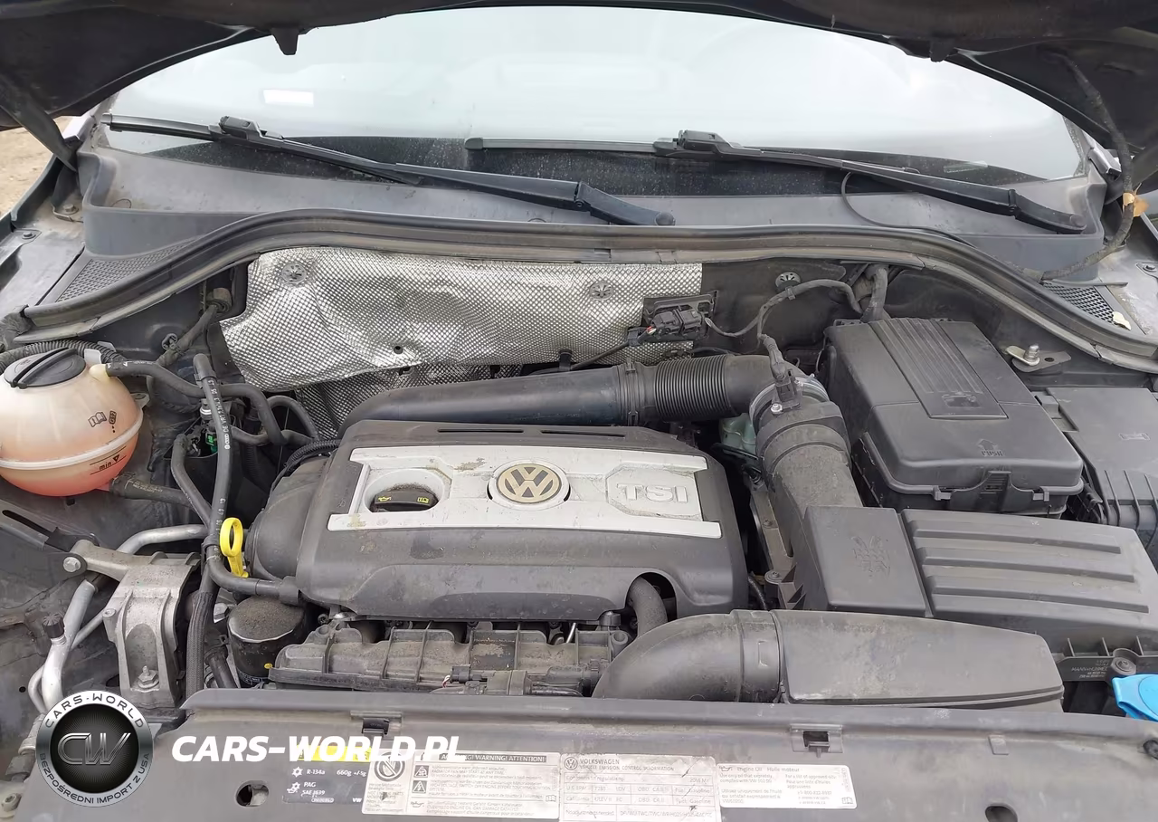 2014 Volkswagen Tiguan R-Line VIN:WVGAV3AXXEW071192 - 10