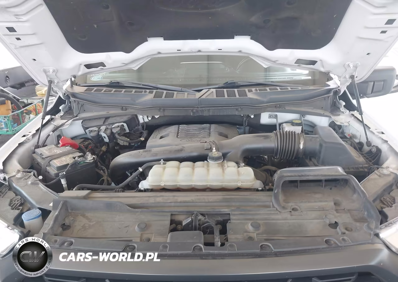 2023 Ford F-150 Xlt VIN:1FTFW1E89PKD02687 - 10
