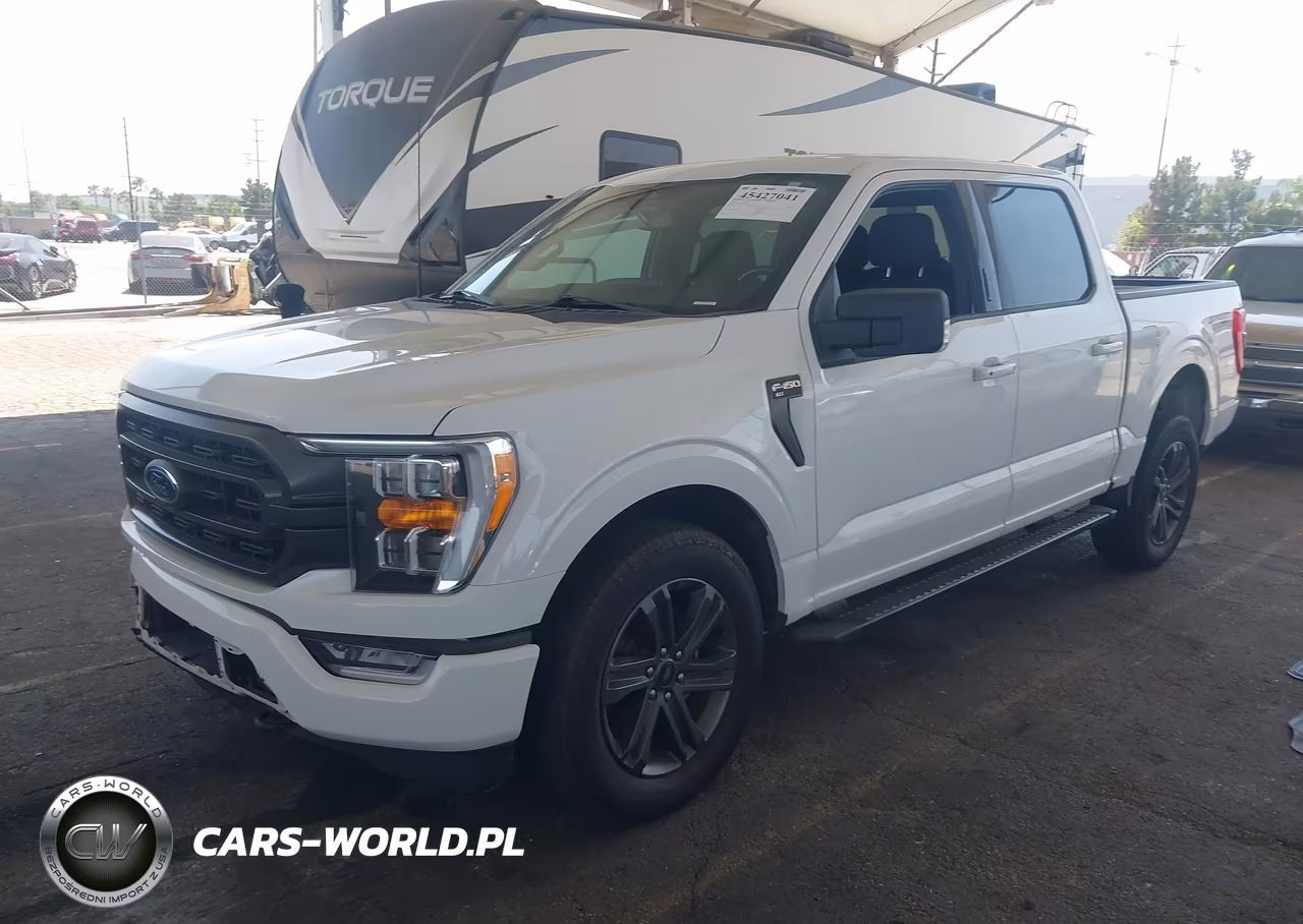 2023 Ford F-150 Xlt VIN:1FTFW1E89PKD02687 - 2
