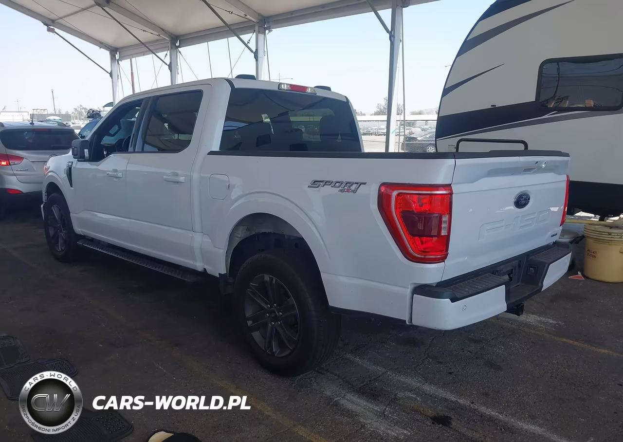 2023 Ford F-150 Xlt VIN:1FTFW1E89PKD02687 - 3