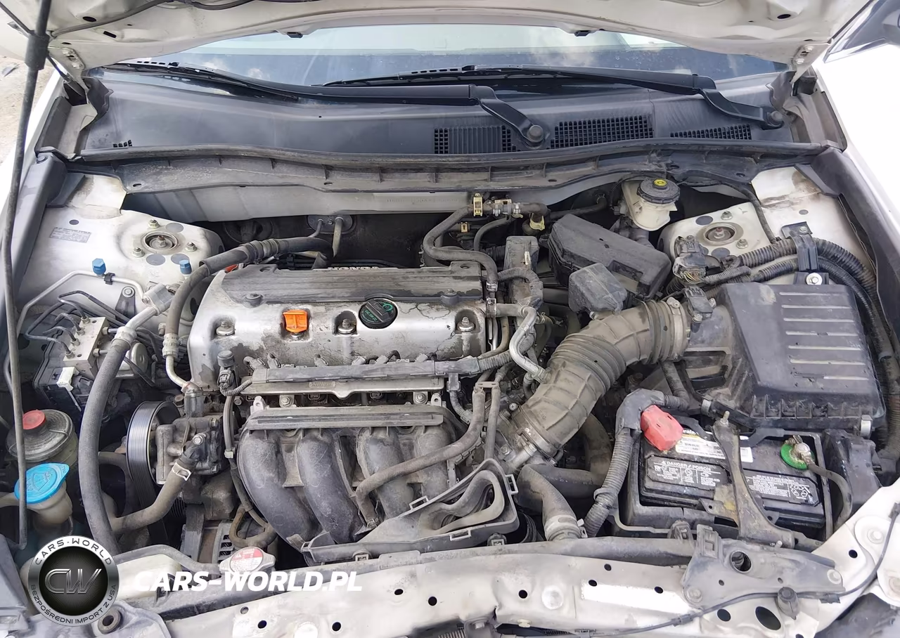2010 Honda Accord 2.4 Lx VIN:1HGCP2F30AA186304 - 10