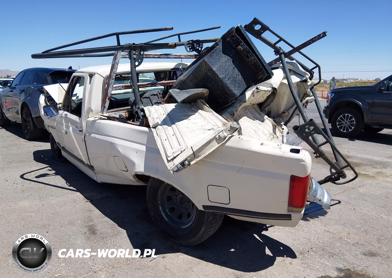 1989 Ford F150 VIN:1FTDF15N2KPA97111 - 3