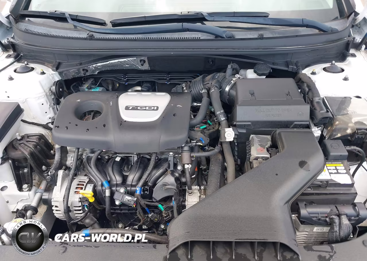 2019 Hyundai Sonata Eco VIN:5NPE24AA1KH774911 - 10