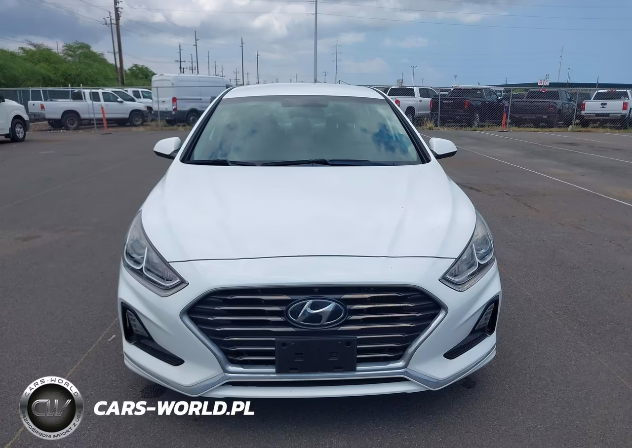 2019 Hyundai Sonata Eco VIN:5NPE24AA1KH774911 - 13