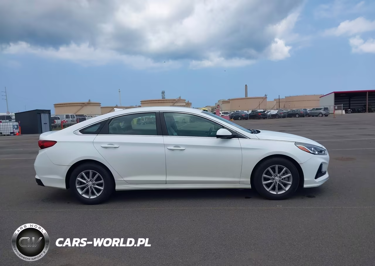 2019 Hyundai Sonata Eco VIN:5NPE24AA1KH774911 - 14