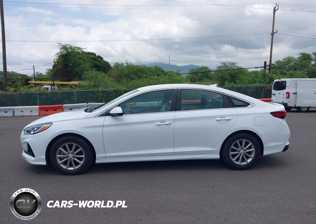 2019 Hyundai Sonata Eco VIN:5NPE24AA1KH774911 - 15