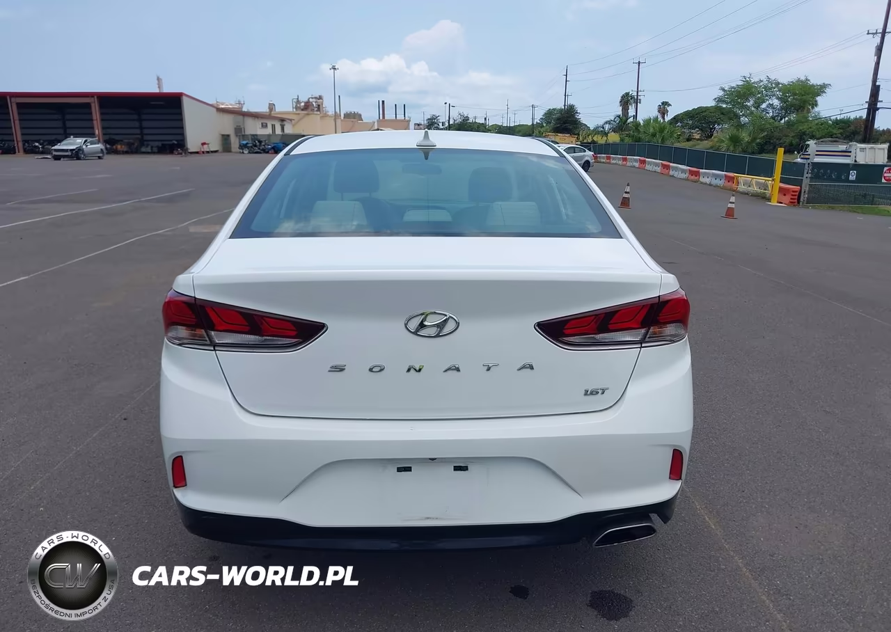 2019 Hyundai Sonata Eco VIN:5NPE24AA1KH774911 - 17