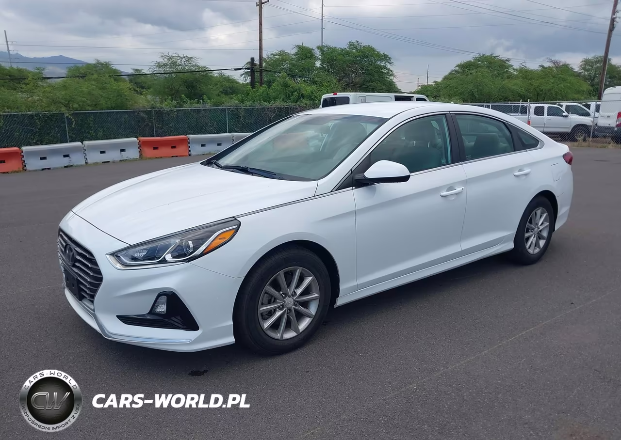 2019 Hyundai Sonata Eco VIN:5NPE24AA1KH774911 - 2