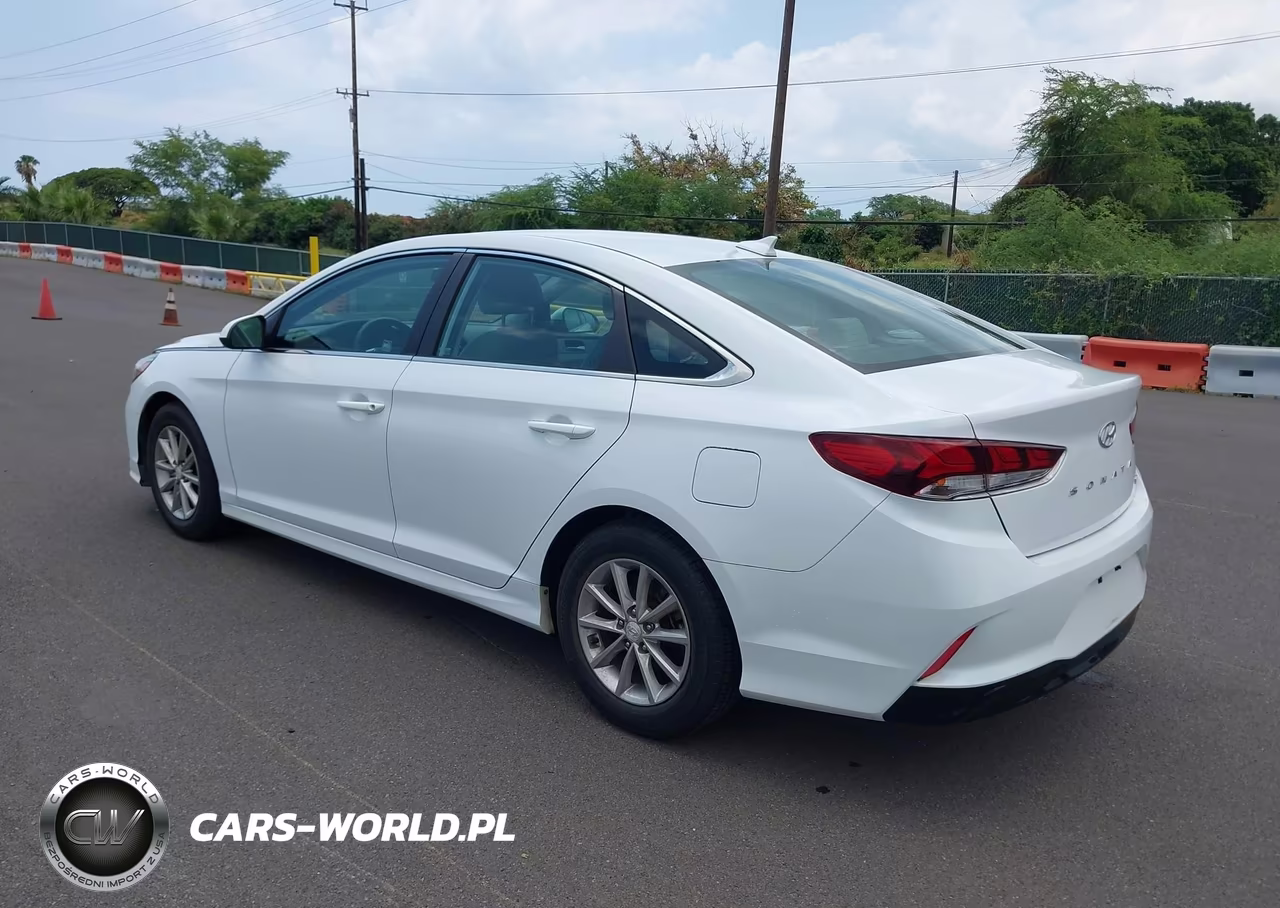 2019 Hyundai Sonata Eco VIN:5NPE24AA1KH774911 - 3