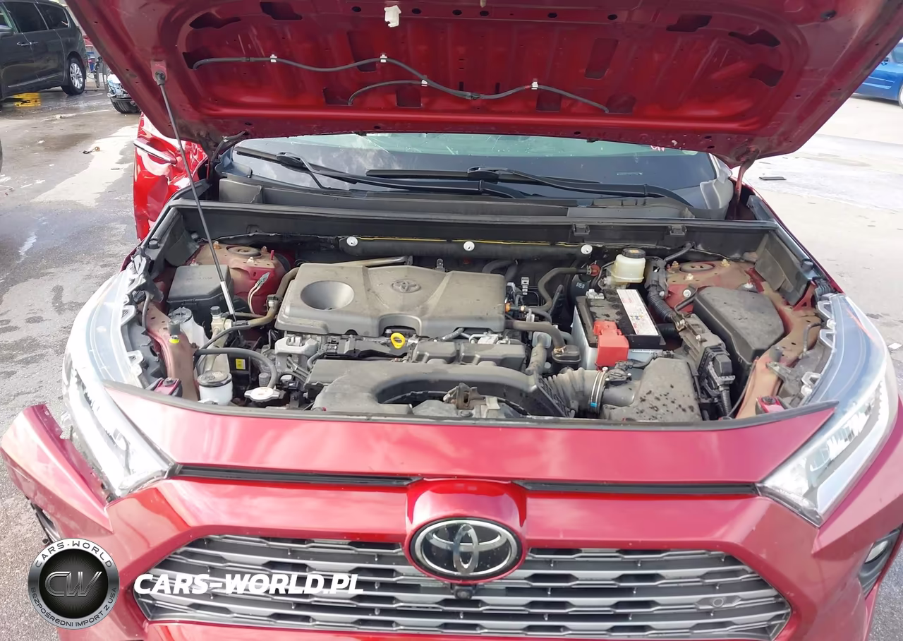 2019 Toyota Rav4 Limited VIN:JTMN1RFV9KD518954 - 10