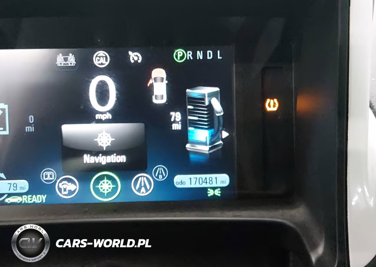 2013 Chevrolet Volt VIN:1G1RE6E49DU119244 - 13
