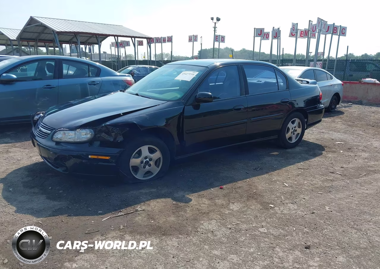 2003 Chevrolet Malibu Ls VIN:1G1NE52J73M666210 - 2